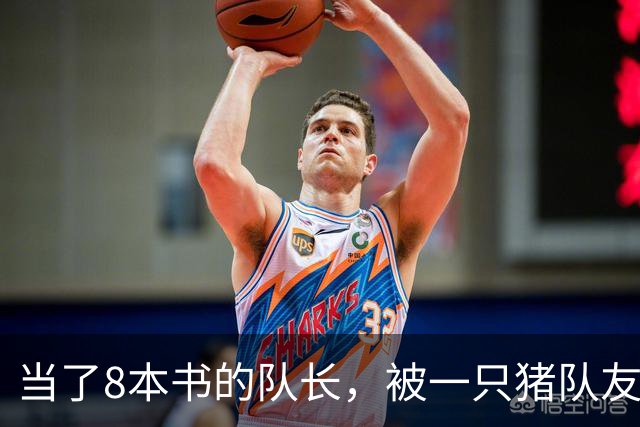 当了8本书的队长，被一只猪队友挤下台？新队长竟是女神